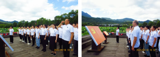 云顶集团·3118(中国)官方网站